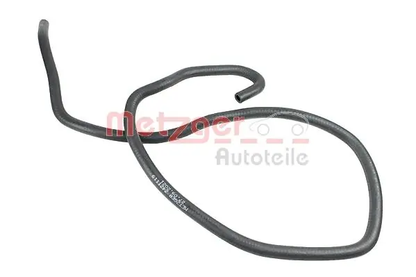 Radiator Hose 2421119