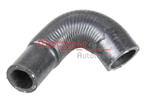 Radiator Hose 2420915