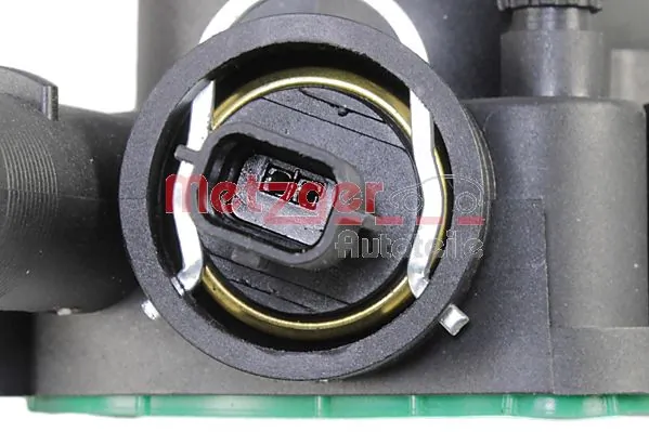 Thermostat, coolant 4006420