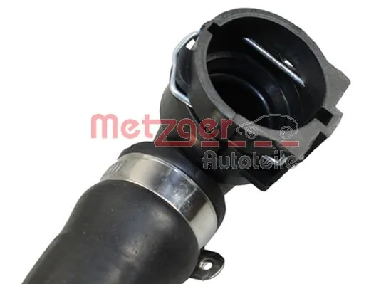 Radiator Hose 2420481
