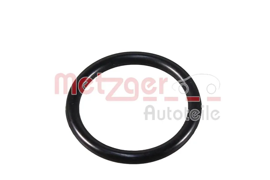 Seal Ring, coolant pipe 4010508