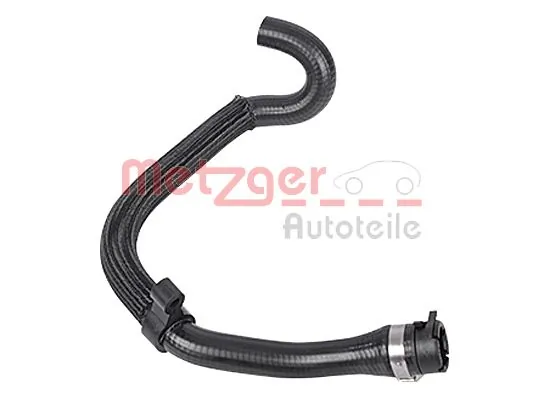 Radiator Hose 2420293