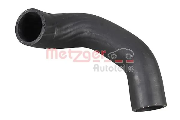 Radiator Hose 2421165