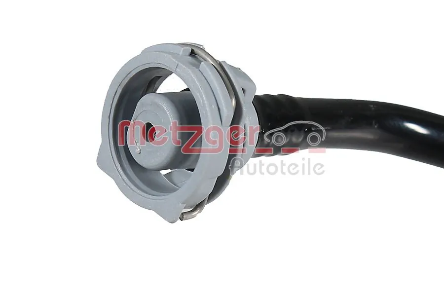 Radiator Hose 2421680