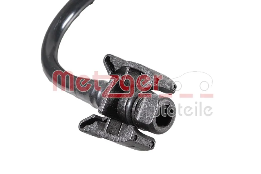 Radiator Hose 2421682