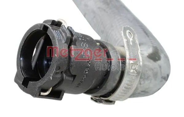 Radiator Hose 2420822