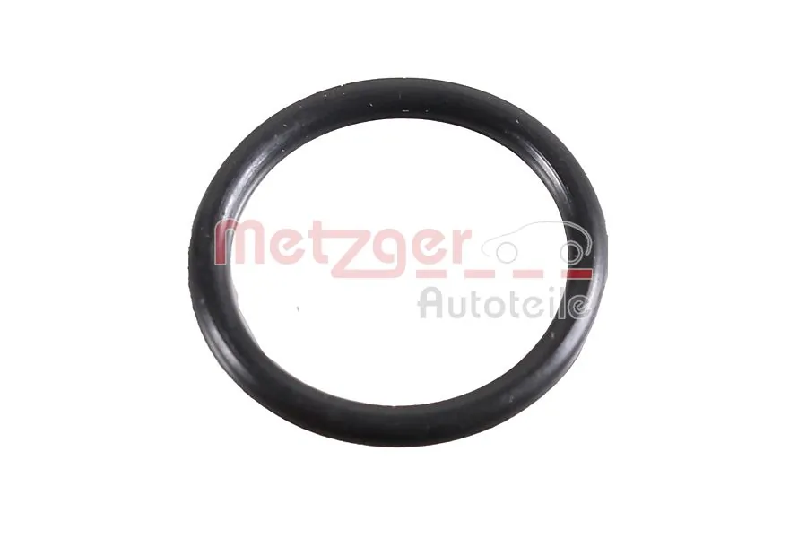 Seal Ring 2430039