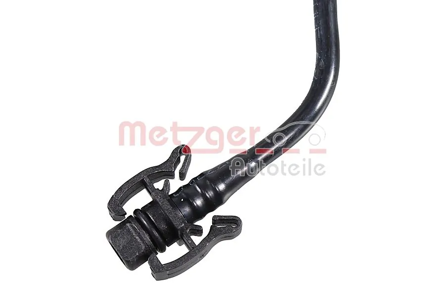 Radiator Hose 2421679