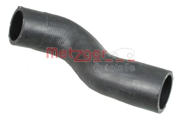 Radiator Hose 2420848