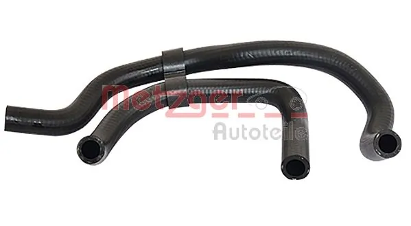 Radiator Hose 2420487