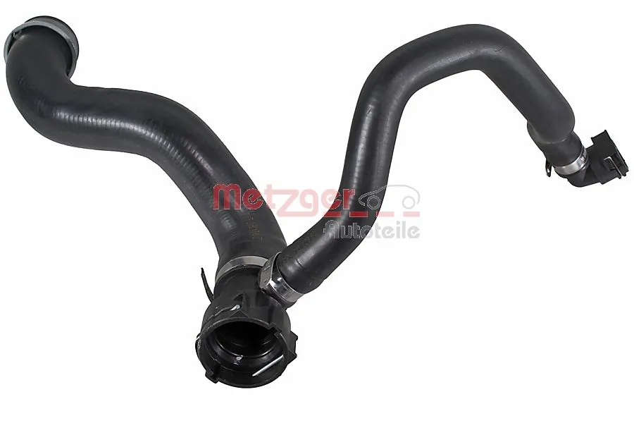 Radiator Hose 2421862
