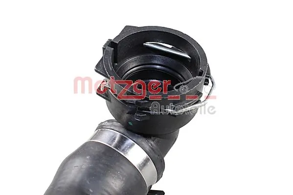 Radiator Hose 2420857