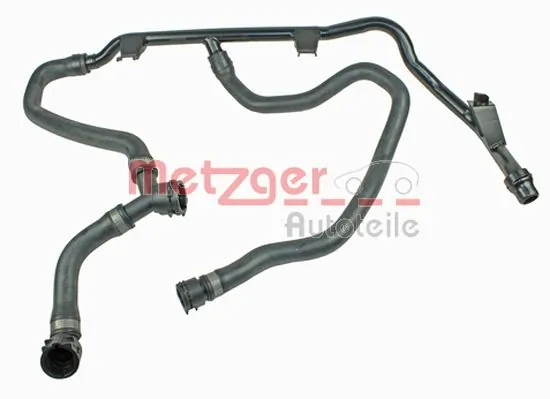 Radiator Hose 2420534