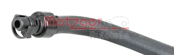 Radiator Hose 2420135