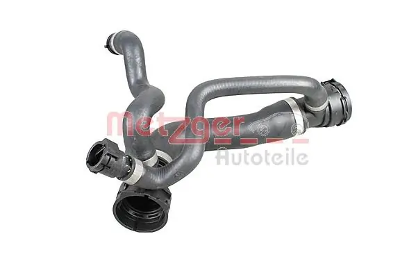 Radiator Hose 2420308