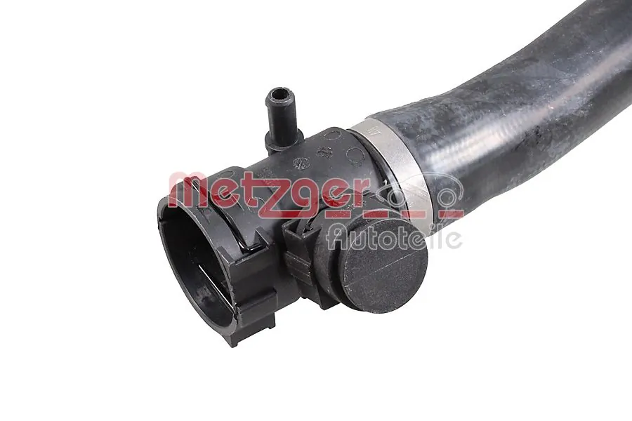 Radiator Hose 2421486