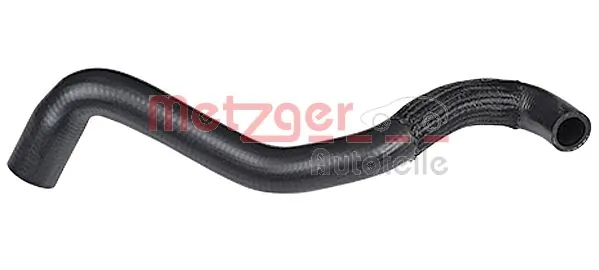 Radiator Hose 2420248