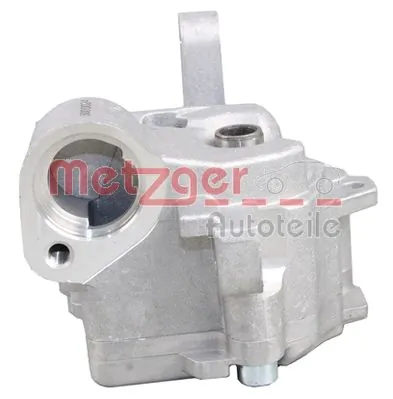 Oil Pump 8000024