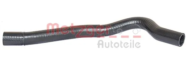Radiator Hose 2420167