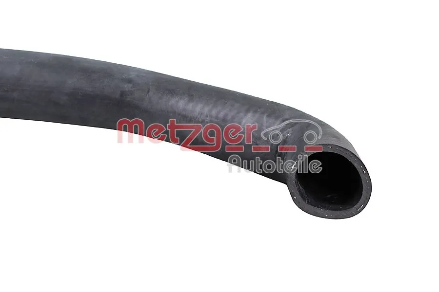 Radiator Hose 2421714