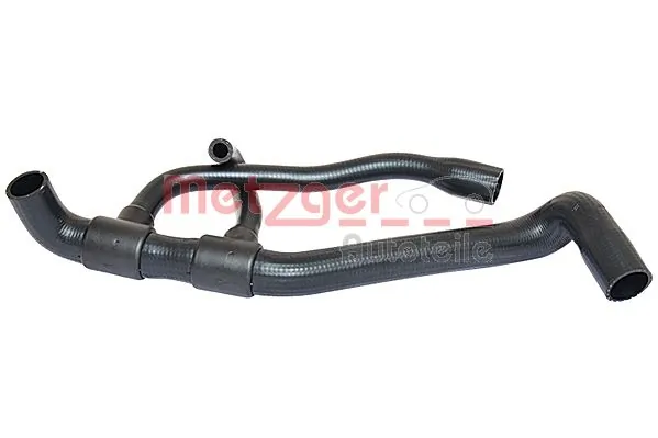 Radiator Hose 2420491