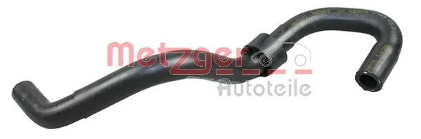 Radiator Hose 2420890