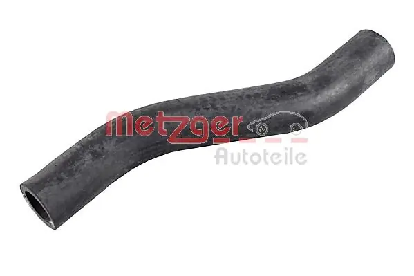 Radiator Hose 2421197
