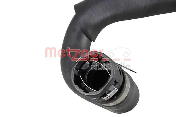 Radiator Hose 2421237
