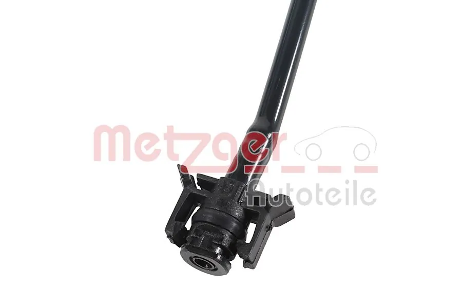 Radiator Hose 2421832