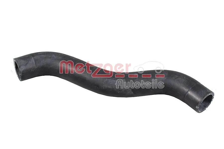 Radiator Hose 2421586