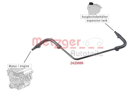Radiator Hose 2420666
