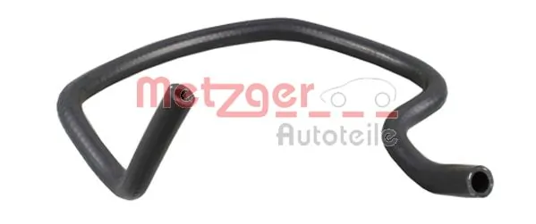 Radiator Hose 2420212