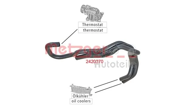 Radiator Hose 2420370