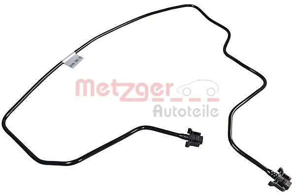 Radiator Hose 2421494