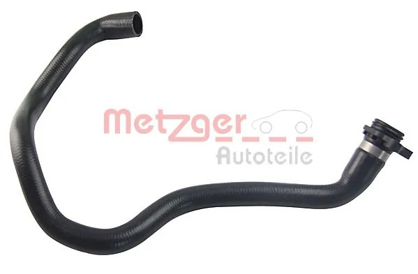 Radiator Hose 2420526