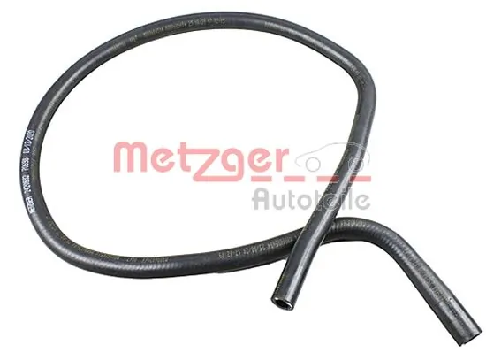 Radiator Hose 2420932