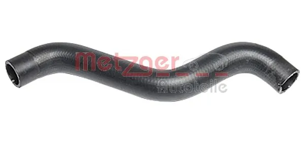 Radiator Hose 2420235