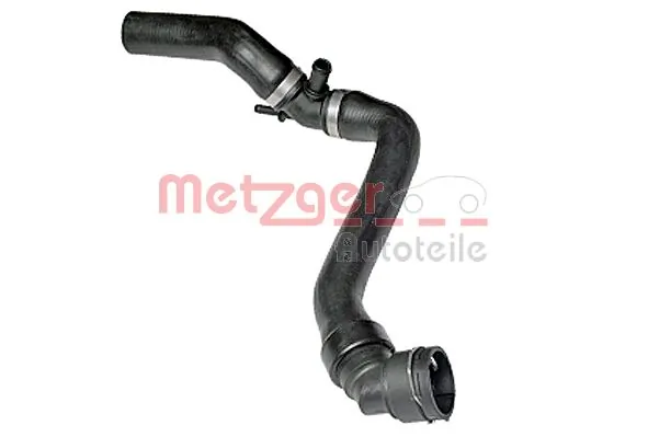 Radiator Hose 2420795
