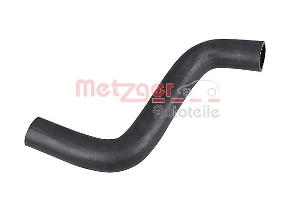 Radiator Hose 2421121