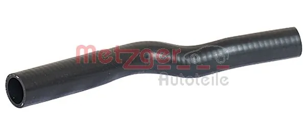 Radiator Hose 2420041