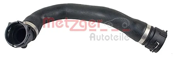 Radiator Hose 2420611