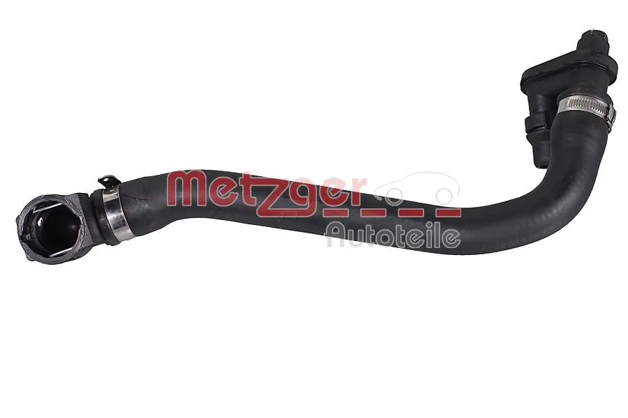 Radiator Hose 2421979