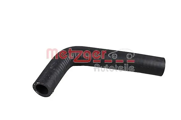 Radiator Hose 2421088