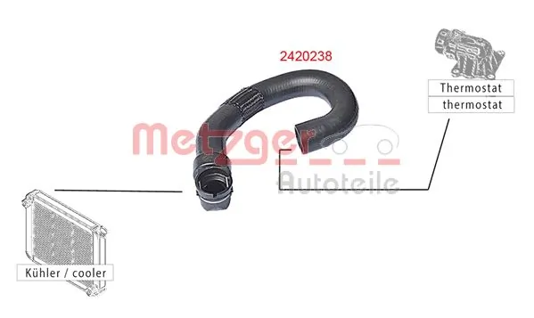 Radiator Hose 2420238