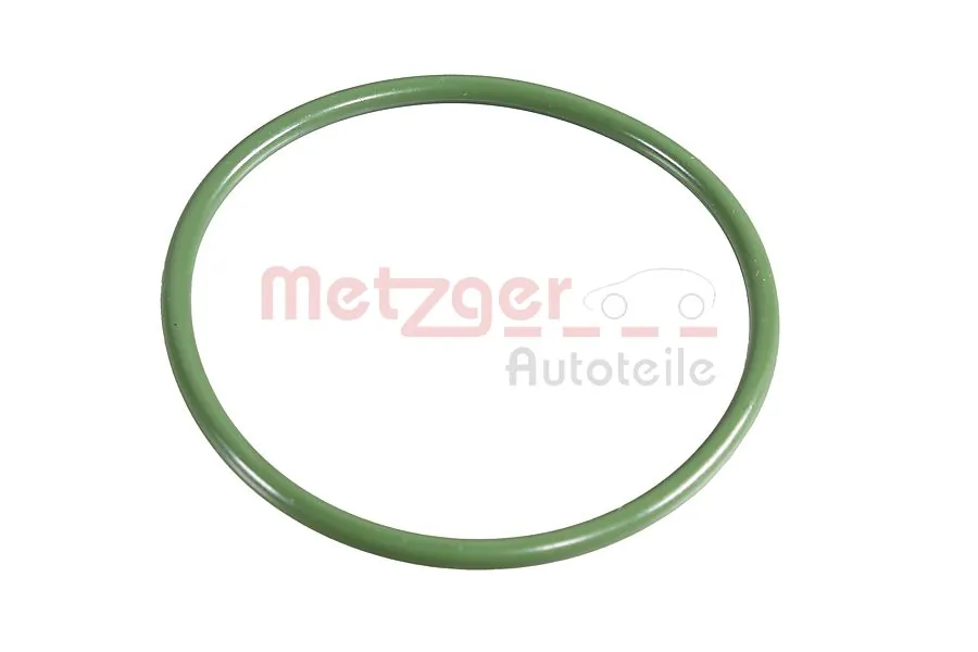 Seal Ring 2430036