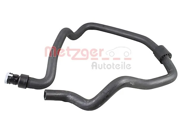 Radiator Hose 2420902