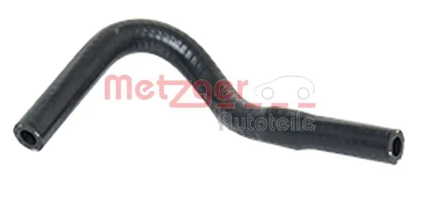 Radiator Hose 2420172