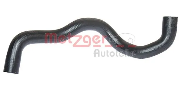 Radiator Hose 2420425