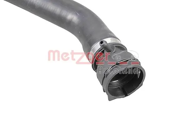 Radiator Hose 2420670