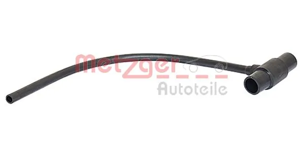 Radiator Hose 2420493